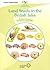 Land Snails in the British Isles