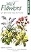 Wild Flowers of Britain and Europe by David Sutton