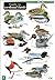A Guide to Wetland Birds (Occasional Publications)
