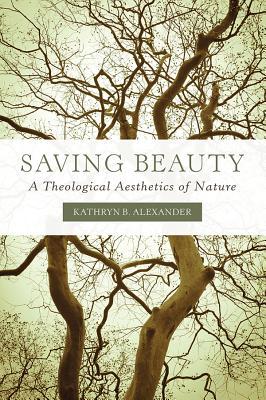 Saving Beauty: A Theological Aesthetics of Nature (Paperback)