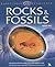 Rocks & Fossils