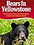 Bears In Yellowstone -- How to Find, View, and Photograph Yellowstone's Bears -- Limited Edition
