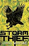 Storm Thief