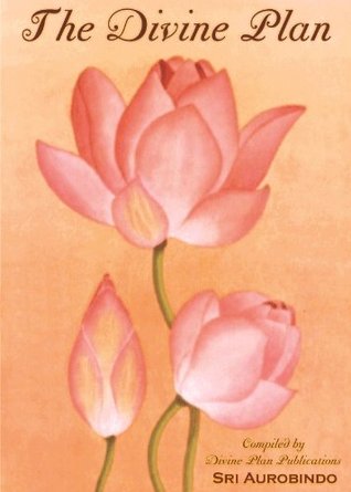 The Divine Plan (Kindle Edition)