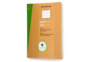 Moleskine Evernote Smart Notebook, Extra Large, Squared, Hard Cover (Set of 2)