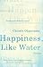Happiness, Like Water by Chinelo Okparanta