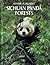 Sichuan Panda Forests (Wonders of the World)
