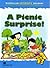 A Picnic Surprise (Macmillan Children's Readers Level 2)