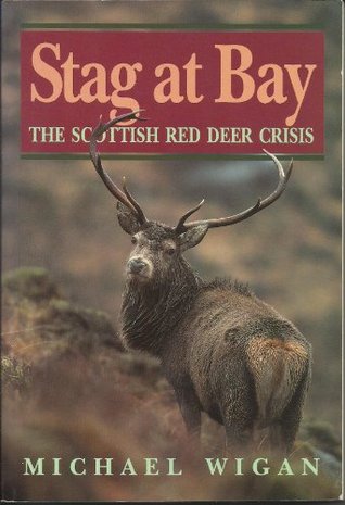 Stag at Bay (Paperback)