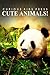 Cute Animals! - Curious Kids Press: (Picture book, Children's book about animals, Animal books for kids)