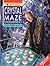Crystal Maze Challenge!