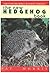 The New Hedgehogs Book by Pat Morris