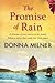 The Promise of Rain: A Prisioner of War Returns to His Family Hiding a Secret That Could Tear Them Apart