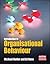 Introduction to Organisational Behaviour