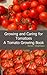 Growing and Caring for Tomatoes by Brian Stephens