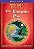 Oxford Reading Tree: Stage 11+: TreeTops Time Chronicles The Enigma Plot