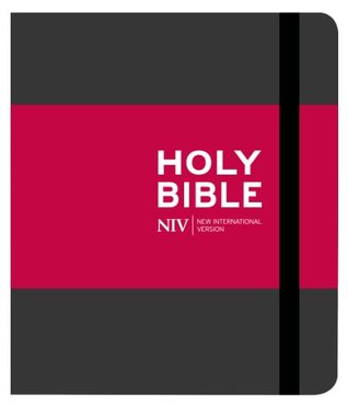 NIV Journalling Charcoal Cloth Bible: New International Version