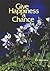 Give Happiness a Chance