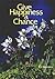 Give Happiness a Chance (English and Dutch Edition)