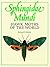 Sphingidae Mundi: Hawk Moths of the World