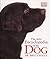 New Encyclopedia of Dog by Bruce Fogle