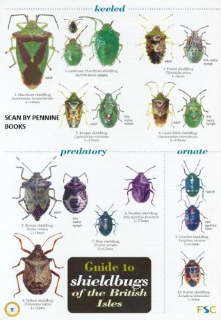 Guide to Shieldbugs of the British Isles (Hardcover)
