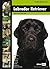 Labrador Retriever (Dog Breed Expert Series)