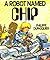 A Robot Called Chip
