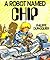 A Robot Called Chip