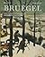 Bruegel: The Complete Paintings. by Manfred Sellnik, Till-Holger Borchert