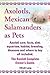 Axolotls, Mexican Salamande...