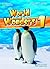 World Wonders 1 with Audio CD