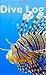 Dive Log