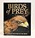 Birds of Prey: Majestic Masters of the Skies