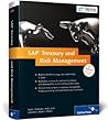 SAP Treasury and Risk Management