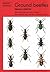 Ground Beetles (Naturalists' Handbooks) (Vol)