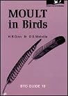Moult in birds