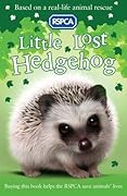 Little Lost Hedgehog