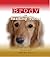 Brody the Reading Dog