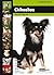 Chihuahua (Dog Breed Expert Series)