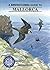 A Birdwatching Guide to Mal...