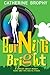Burning Bright: A comedy about money, fame and the Celtic Tiger