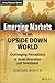 Emerging Markets in an Upside Down World: Challenging Perceptions in Asset Allocation and Investment (The Wiley Finance Series)