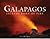 Galapagos by Tui De Roy