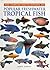 Concise Encyclopedia of Popular Tropical Fish