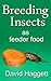 Breeding Insects as feeder food