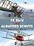 FE 2b/d vs Albatros Scouts:...