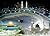 NO GOD BUT GOD,ISLAM by Yusuf Ali