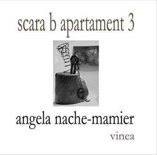 scara b apartament 3 (Paperback)