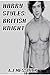 Harry Styles: British Knight (A Harry Styles Fanfiction)